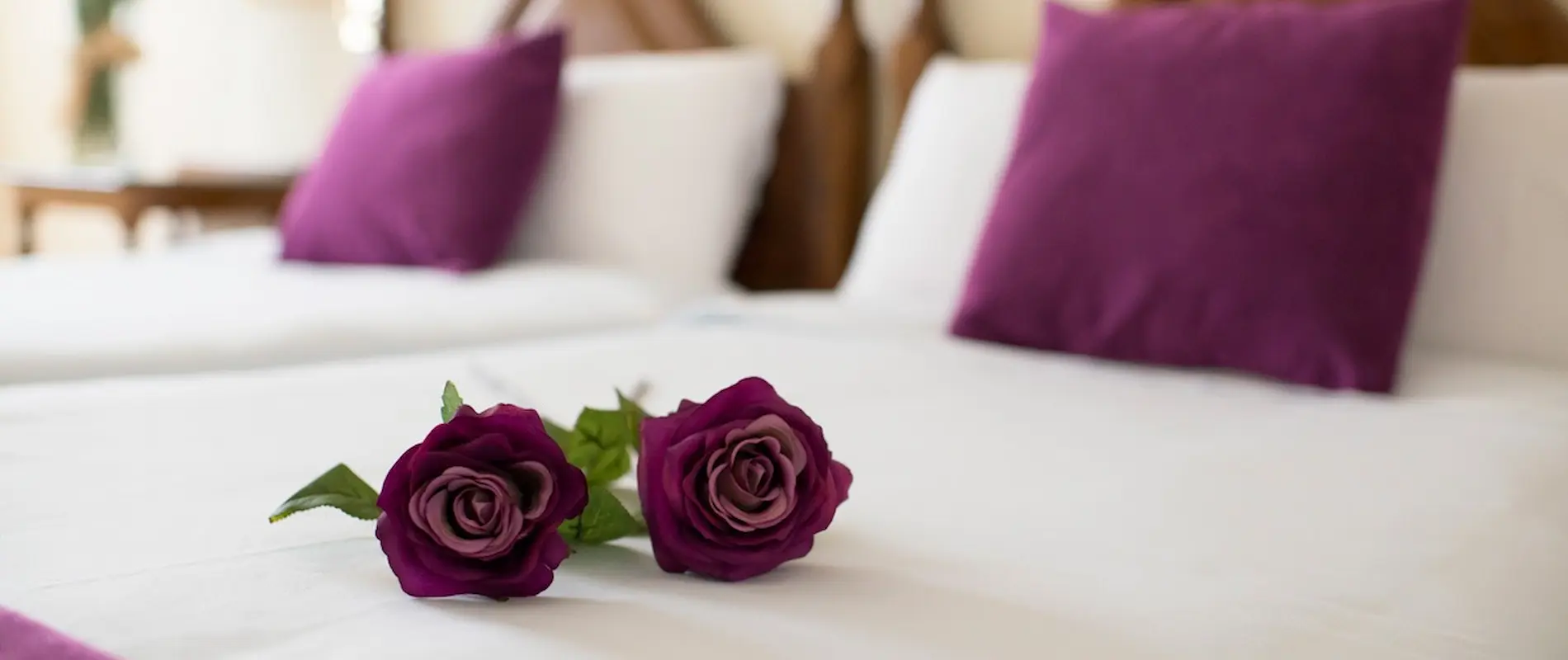 Rosas púrpuras en una cama blanca con cojines a juego al fondo.