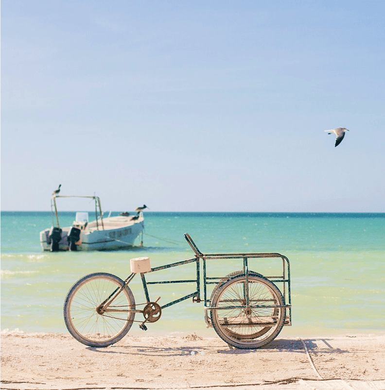 Three-wheeled bike on a beach with a boat in the water and a bird flying in the sky.