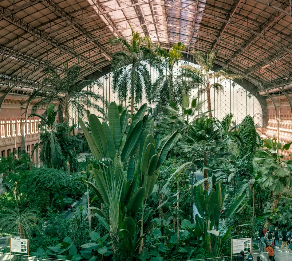 Invernadero interior lleno de palmeras y plantas tropicales bajo un techo acristalado en una estación.