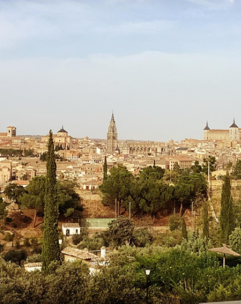 Vista de una ciudad con catedral, edificios históricos y árboles en primer plano.