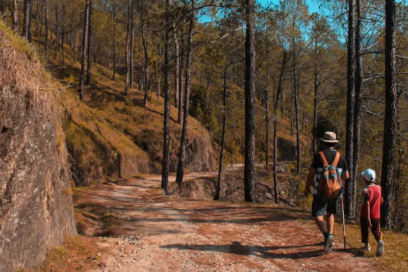 Deux personnes marchent sur un chemin forestier entouré d'arbres sous un ciel bleu.