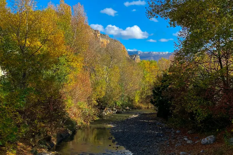 Rivière entourée d'arbres d'automne, ciel bleu et montagne en arrière-plan.