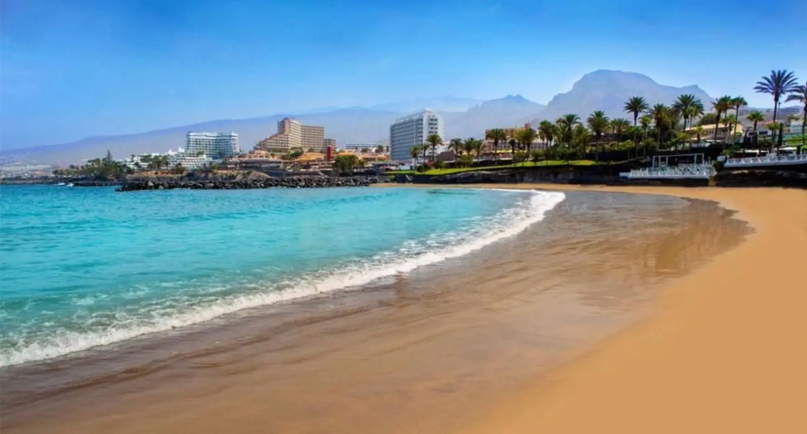 Vista de una playa con edificios al fondo, césped y palmeras en un día soleado.