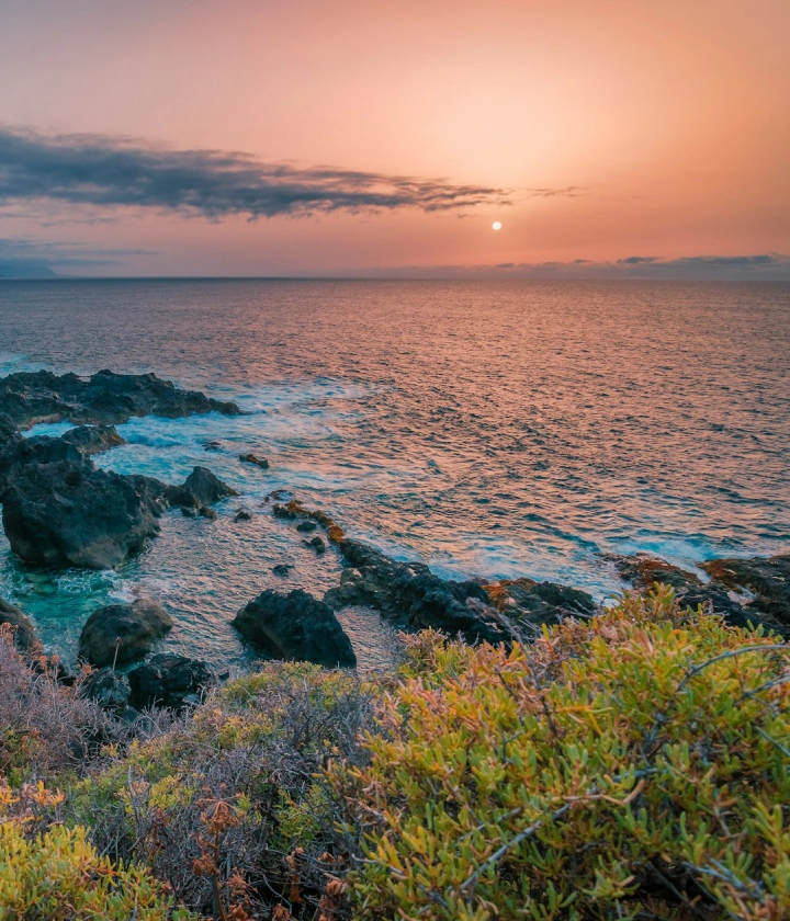 Atardecer en la costa rocosa con arbustos en primer plano y el sol sobre el mar.
