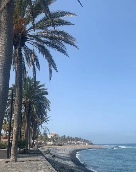 Playa con palmeras a lo largo del paseo y el mar azul bajo un cielo despejado.
