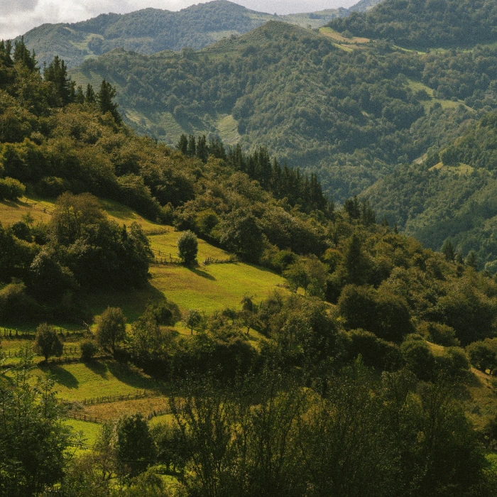 Paisaje monta&ntilde;oso verde con &aacute;rboles y colinas, cielo nublado en el fondo.