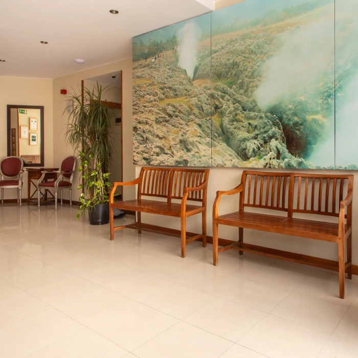 Sala de espera con bancos de madera, plantas y una gran foto de paisaje en la pared.
