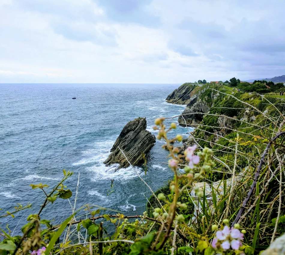 Acantilado rocoso sobre el mar azul con flores en primer plano, cielo nublado.