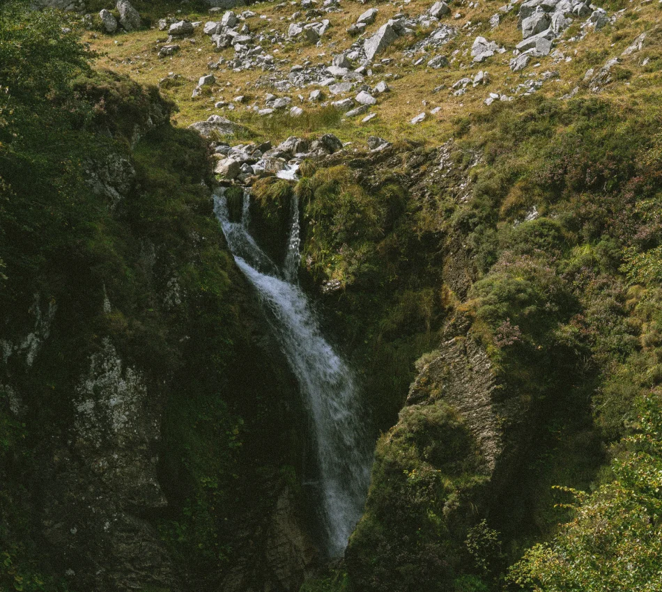 Cascada fluyendo entre rocas y vegetaci&oacute;n densa con ladera rocosa de fondo.