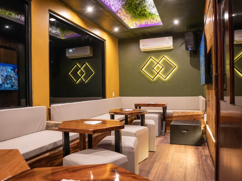 Sala moderna con sofás blancos, mesas de madera, luces LED y decoración natural en el techo.