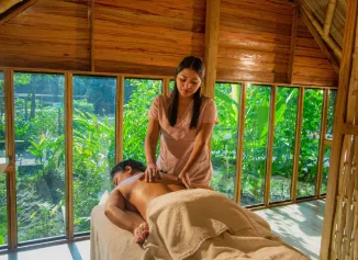 Persona recibiendo un masaje en un spa con vista a un jard&iacute;n a trav&eacute;s de grandes ventanales.