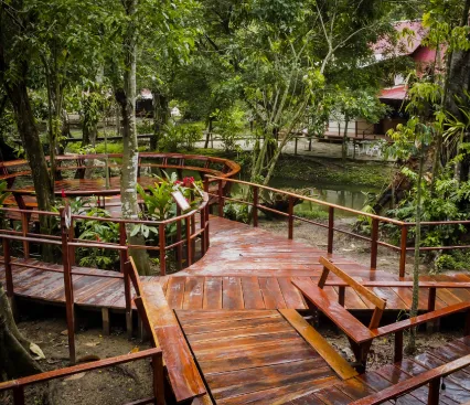 Pasarela de madera en un bosque con vegetaci&oacute;n exuberante y casas al fondo.