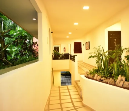 Pasillo interior iluminado con plantas y una ventana que muestra vegetaci&oacute;n exterior.