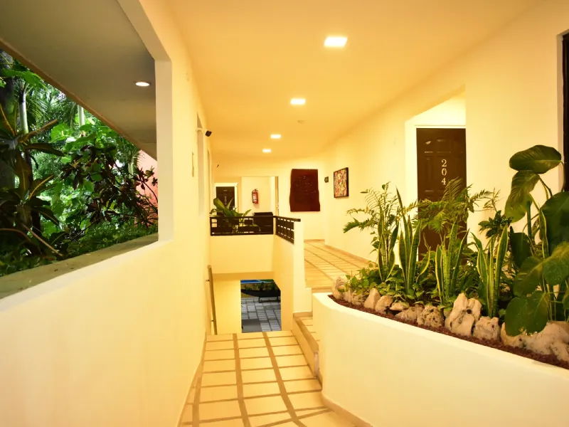 Pasillo interior con plantas y puertas, luz c&aacute;lida y vista a jard&iacute;n exterior.