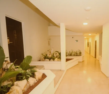 Pasillo interior de un edificio con plantas decorativas en jardineras y puertas a las habitaciones.