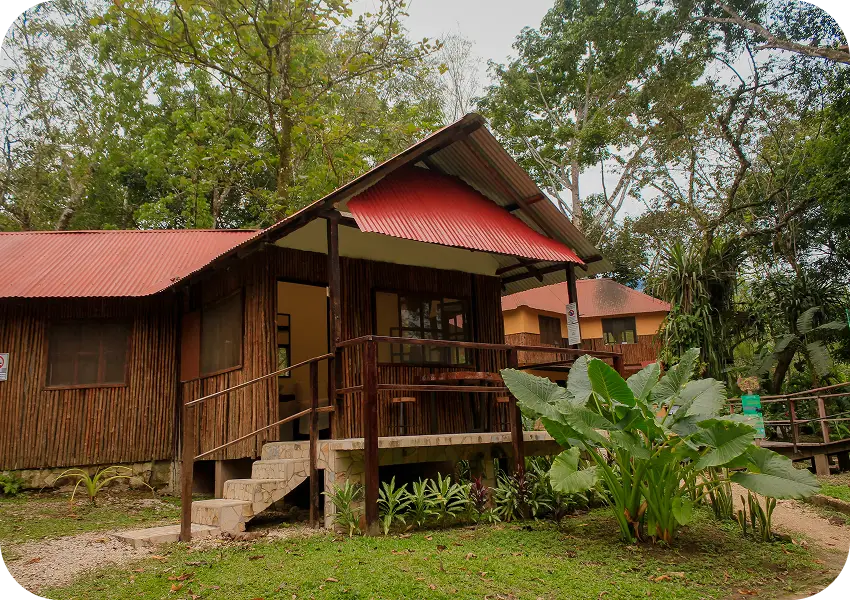 Caba&ntilde;a de madera con techo rojo, rodeada de vegetaci&oacute;n y &aacute;rboles, con escaleras al frente.