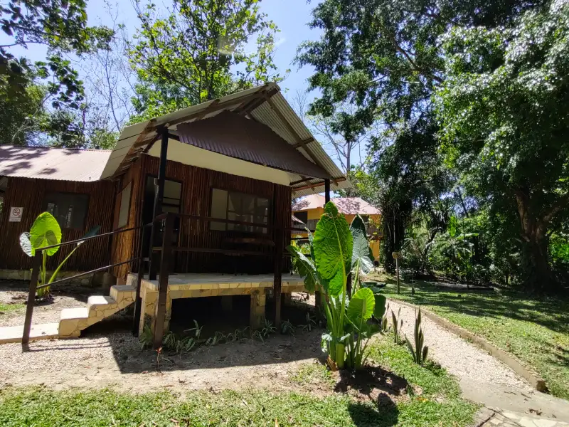 Cabaña de madera rodeada de vegetación tropical en un día soleado.