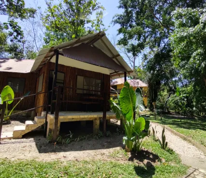 Peque&ntilde;a casa de madera rodeada de vegetaci&oacute;n y &aacute;rboles en un entorno natural.