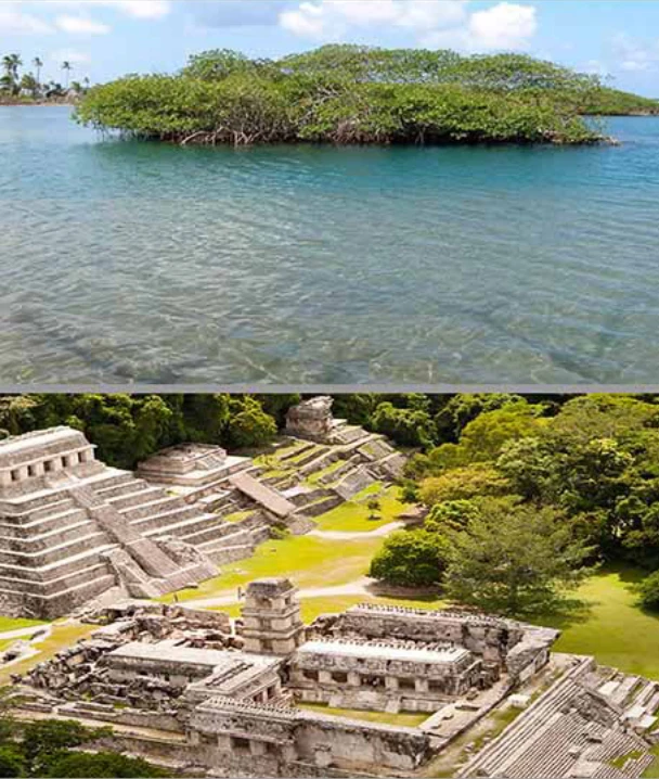 Manglar sobre agua azul y ruinas mayas rodeadas de vegetaci&oacute;n verde.