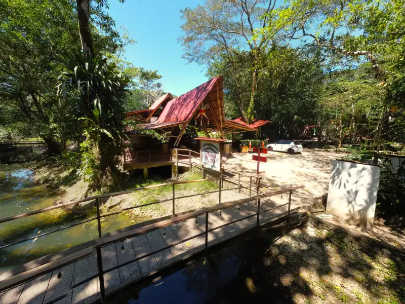 Pasarela de madera hacia cabaña rústica entre árboles y un arroyo en un entorno natural.