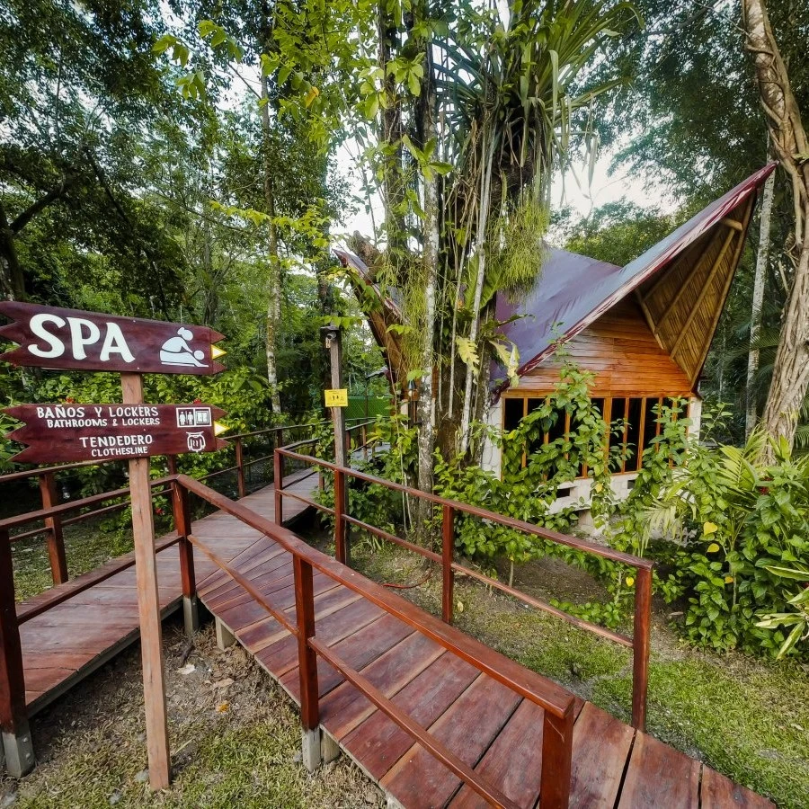 Spa 5