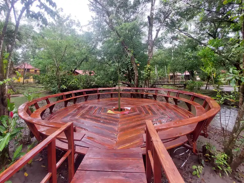 Plataforma circular de madera en bosque, rodeada de árboles.