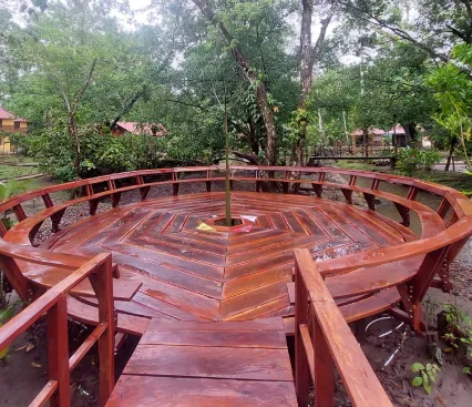 Plataforma de madera circular en un &aacute;rea verde con &aacute;rboles alrededor.