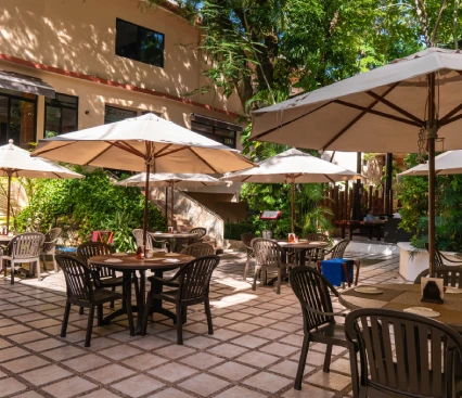 Terraza con mesas, sillas y sombrillas en un entorno verde y soleado.