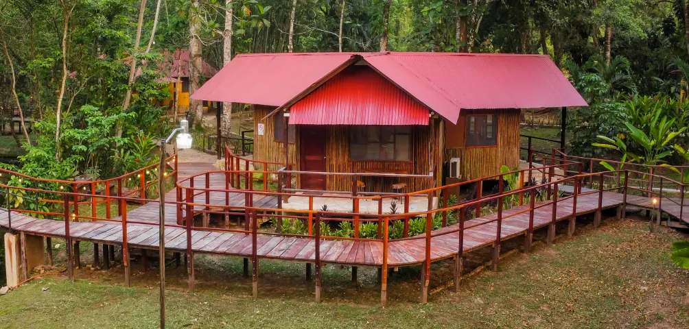 Caba&ntilde;a de madera con techo rojo rodeada de un pasillo elevado en un entorno forestal.