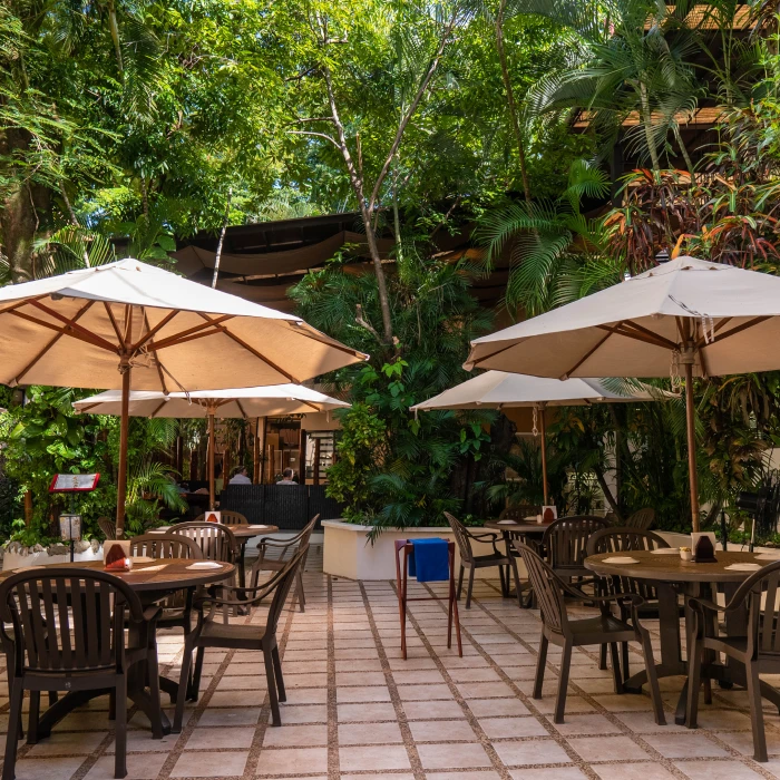 Terraza de cafeter&iacute;a con mesas, sillas y sombrillas rodeadas de plantas verdes.