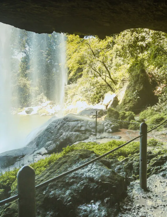 Vista de una cascada desde una cueva, rodeada de vegetaci&oacute;n y rocas iluminadas por el sol.