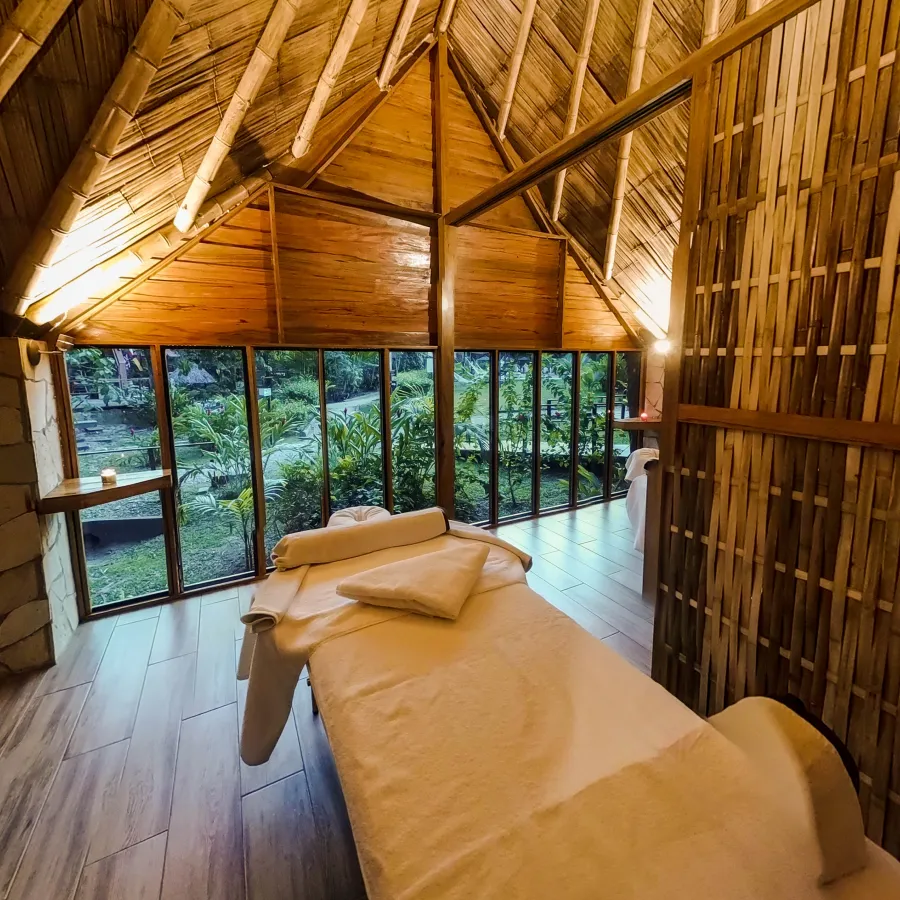 Cabaña de madera con camilla de masaje, vista a la vegetación exterior a través de ventanales.
