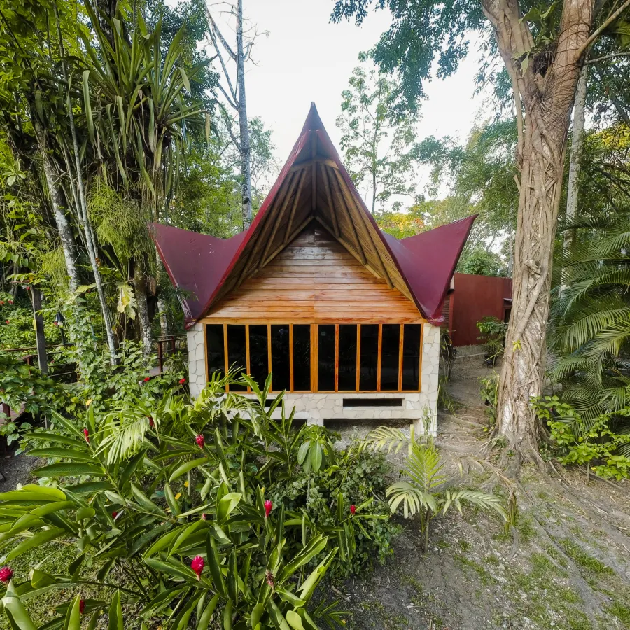 Cabaña de techo inclinado y paredes de madera entre vegetación tropical abundante.