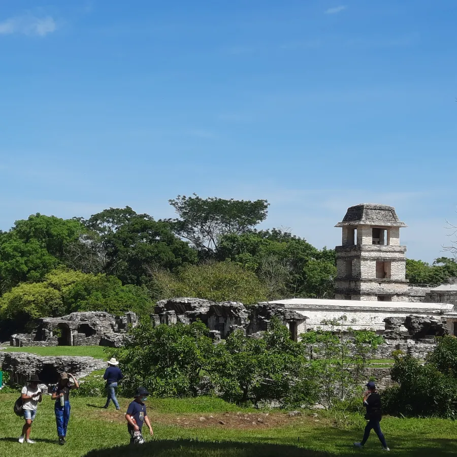 Ruinas arqueológicas rodeadas de vegetación con personas caminando en un día soleado.