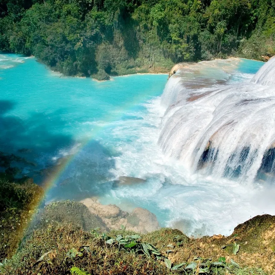 Cascada de agua azul rodeada de vegetación, con un arcoíris visible en la esquina inferior izquierda.