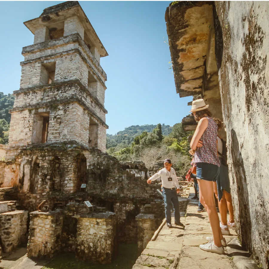 Guía mostrando ruinas mayas a un grupo de turistas, con vegetación de fondo y cielo despejado.
