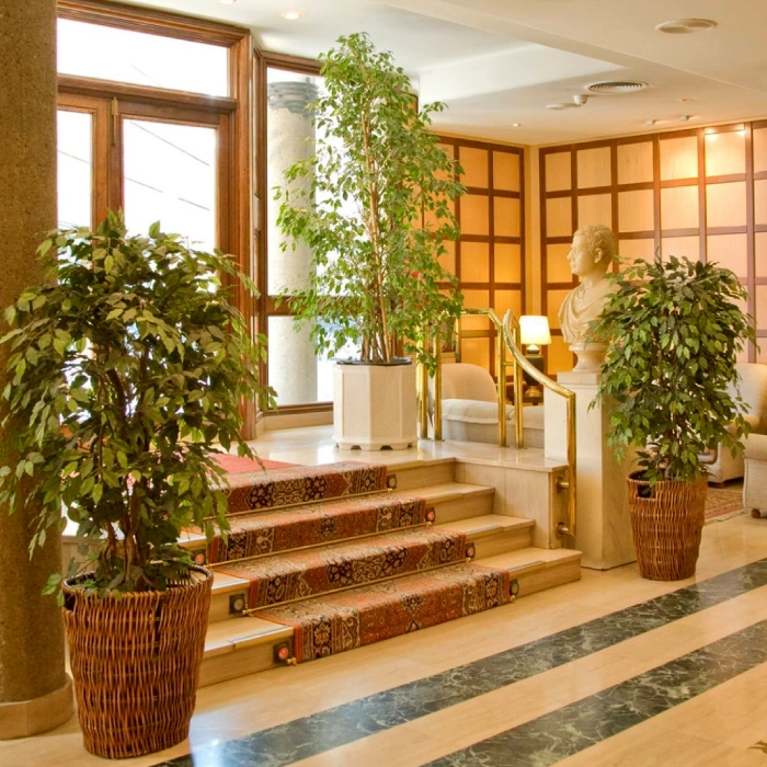 Services - Hotel Tibur