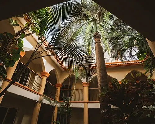 Patio interior con palmeras y pilastras rodeado de arcos y balcones.