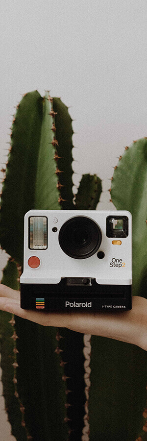 Cámara Polaroid OneStep 2 sostenida frente a un cactus verde.