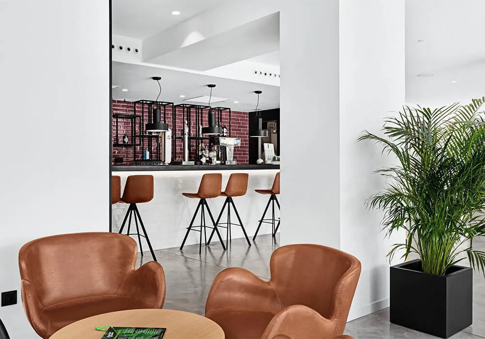 Sala moderna con sillas de cuero marrón, barra blanca con taburetes y planta en maceta negra.