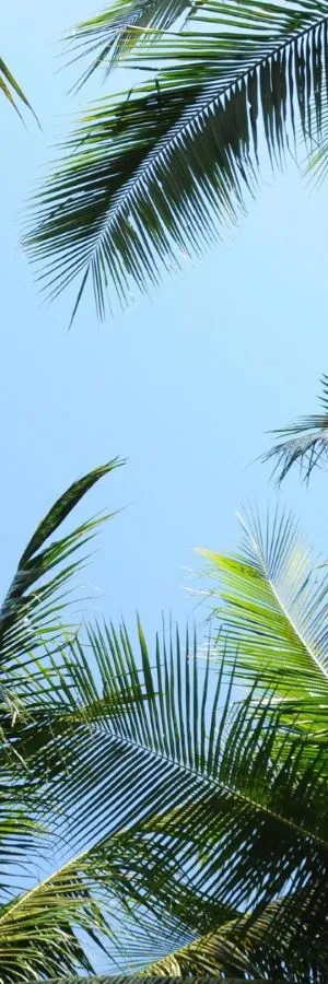 Spa - Hotel Paradiso Garden