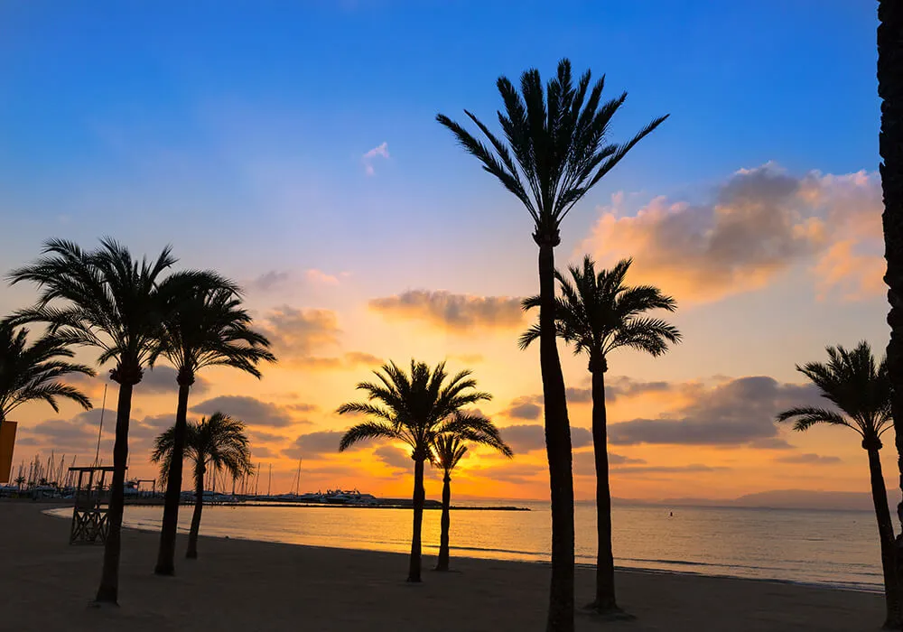 Puesta de sol en la playa con palmeras silueteadas y cielo colorido.