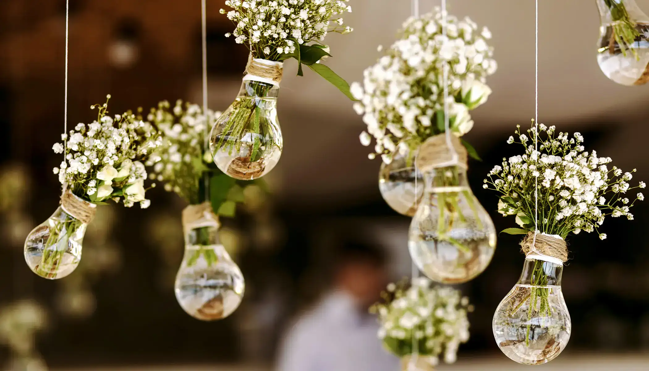 Bombillas colgantes con flores blancas en su interior.