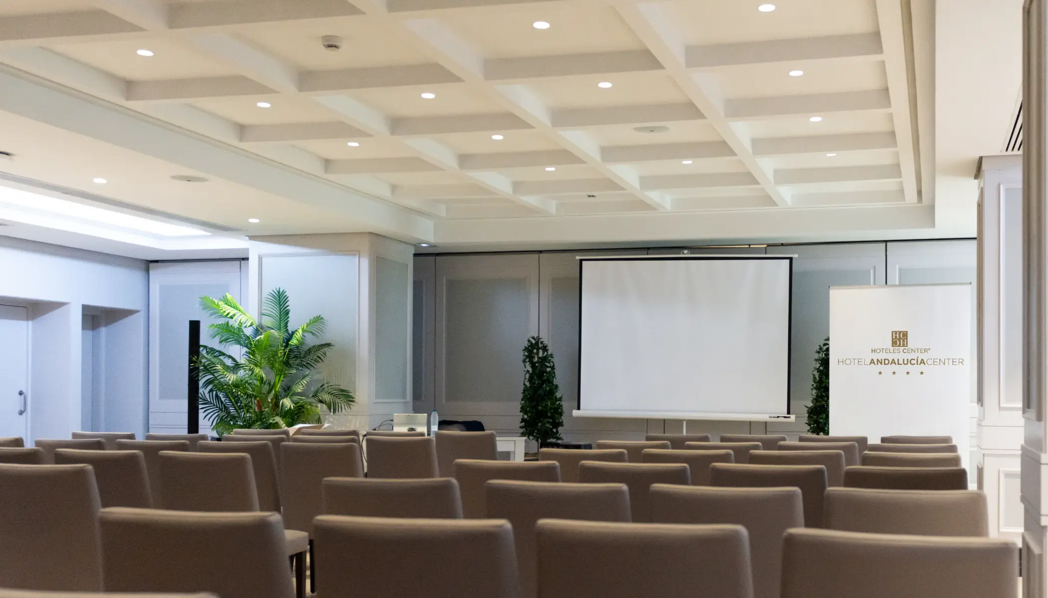 Convenciones y Eventos - Hotel Andaluc&iacute;a Center - Hoteles Center