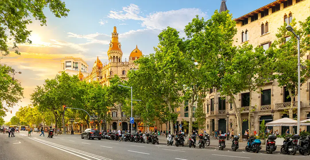 Calle arbolada frente a un edificio hist&oacute;rico con cielo al atardecer.