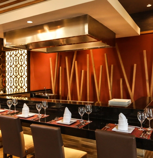 Gastronomy - Vista Sol Punta Cana