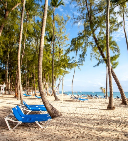Services - Vista Sol Punta Cana