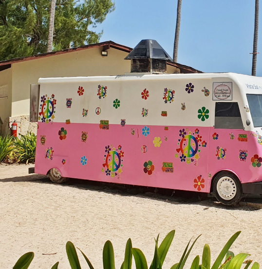 Gastronomy - Vista Sol Punta Cana
