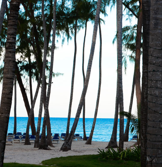 Ubicación - Vista Sol Punta Cana