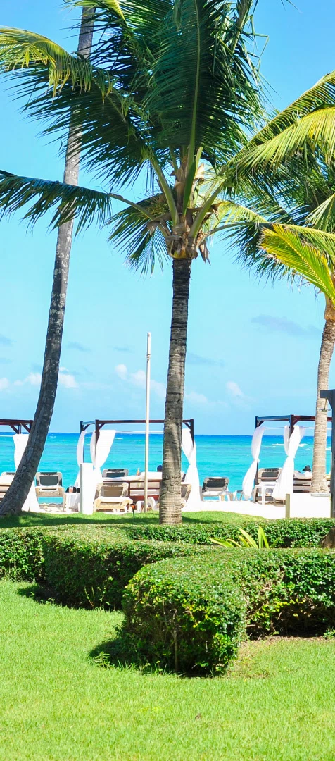 Offers - Vista Sol Punta Cana